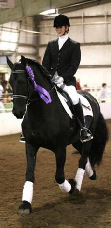 All Pictures Property of Miller Stables, LLC.  Do not copy.
